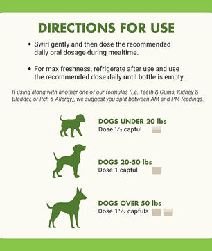 by Cool PET Holistics LVDJW-PR-04PK-16U Hip & Joint Dog Joint Supplement, 16 oz