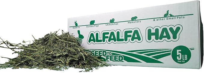 High Desert Alfalfa Hay, Protein Rich Soft Leaf Food for Young Growing Animals, Natural Rabbit Food and Guinea Pig Hay, Supports Digestive Health, Small Pet Supplies, Fresh Hand Packed 5 Lb Box