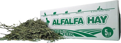 High Desert Alfalfa Hay, Protein Rich Soft Leaf Food for Young Growing Animals, Natural Rabbit Food and Guinea Pig Hay, Supports Digestive Health, Small Pet Supplies, Fresh Hand Packed 5 Lb Box