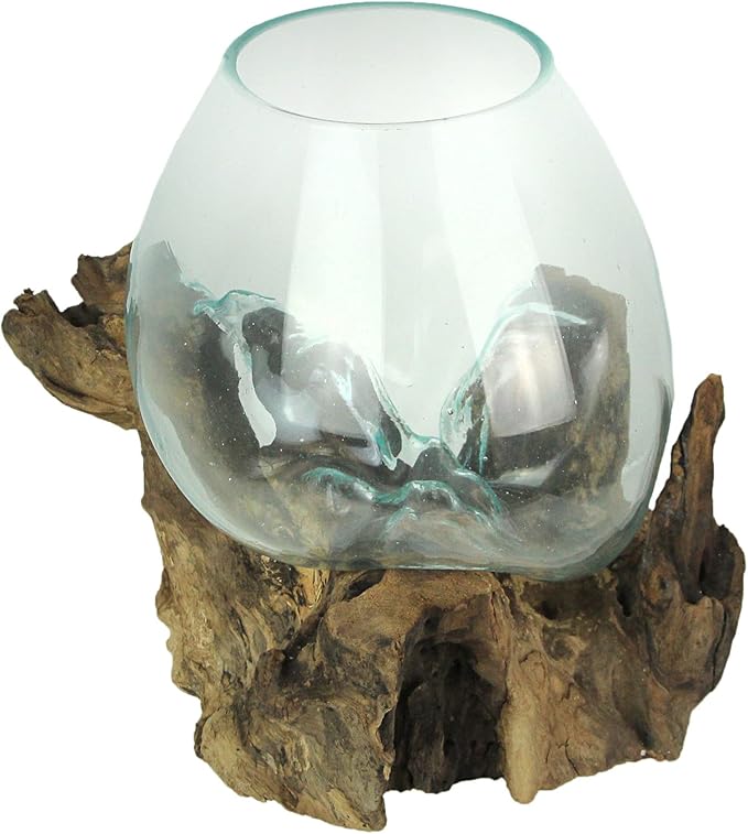 Things2Die4 Large Molten Glass Sculptural Bowl / Plant Terrarium On Natural Driftwood Base, Brown, 10 Inch