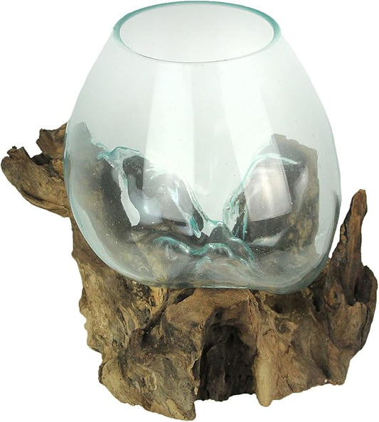 Things2Die4 Large Molten Glass Sculptural Bowl / Plant Terrarium On Natural Driftwood Base, Brown, 10 Inch