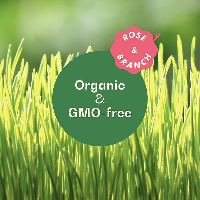 Rose & Branch Organic Wheat Grass Seeds - Cat Grass Seeds - 16Ounces - 100% Organic Non-GMO - Hard Red Wheat - Harvested in USA - Easy to Grow