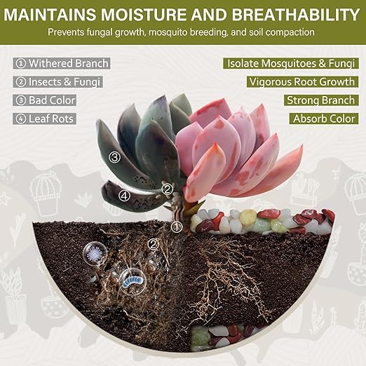 NUPICK 12 lbs Pebbles for Indoor Plants, 3/8 Inch Pea Gravel for Fish Tank, Polished Decorative Rocks for Succulent, Natural River Stones for Vases, Cactus, Landscaping, Bird Bath, Colorful Mixed