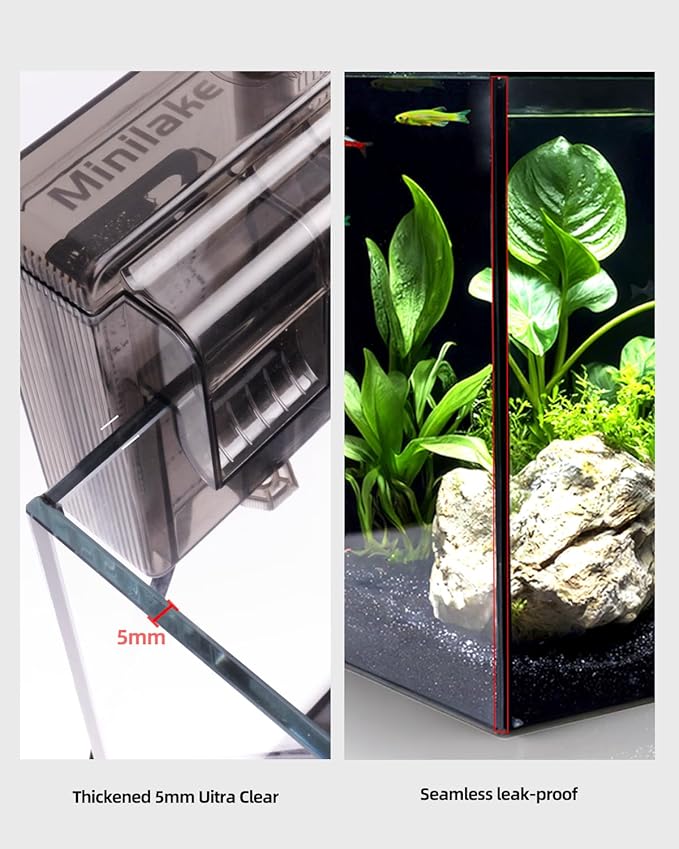 2.5 Gallon Glass Small Fish Tank Kit, Betta Fish Tank Aquarium Starter Kit with Filter, Lights, Lid, for Betta, Goldfish, Small Fish or Shrimp