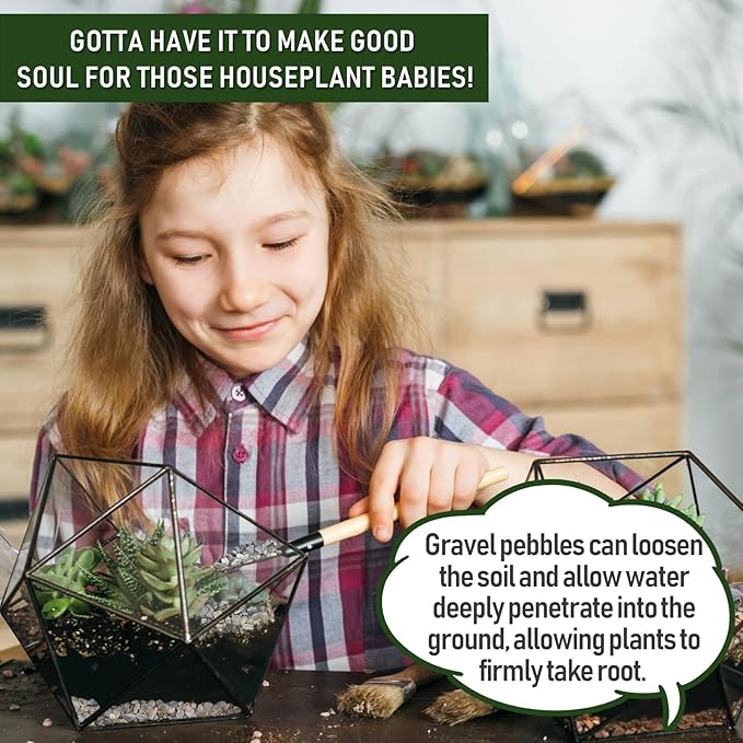 2 LBS Green Pea Gravel, Natural Succulent and Cactus Gravel Pebbles, Pebbles for Indoor Plants, Natural Gardens Mulching, for Houseplants, for Aquarium Gravel, to Maintain Soil Aeration(4-6mm)