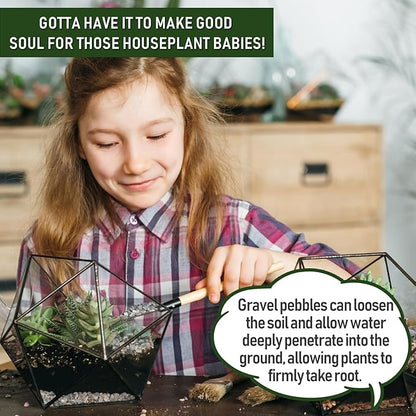 2 LBS Green Pea Gravel, Natural Succulent and Cactus Gravel Pebbles, Pebbles for Indoor Plants, Natural Gardens Mulching, for Houseplants, for Aquarium Gravel, to Maintain Soil Aeration(4-6mm)