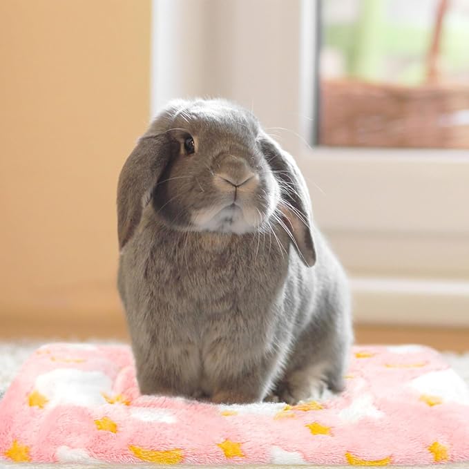 5PCS Guinea Pig Bed Soft Rabbit Bedding Cage Liner Warm Bunny Mats Pee Pads Fleece Blanket Plush Hamster Sleep Beds Ferret Squirrel Hedgehog Rat