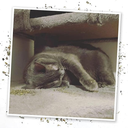 Meowijuana Blue Blob Bundle | Get Silly Refillable Blue Bob Toy and Whisker Tickler Catnip Blend | Promotes Play and Cat Health | Includes North American Organic Catnip