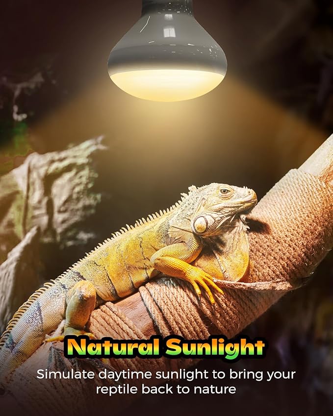 Reptile Heat Lamp 2 Pack, 100W Heat Lamp Bulbs for Reptiles, Amphibians Basking Heat Lamp Bulbs, UVA Daylight Basking Light for Reptiles, Bearded Dragon, Lizard, Turtle, Chicken