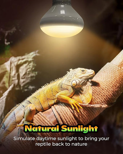 Reptile Heat Lamp 2 Pack, 100W Heat Lamp Bulbs for Reptiles, Amphibians Basking Heat Lamp Bulbs, UVA Daylight Basking Light for Reptiles, Bearded Dragon, Lizard, Turtle, Chicken