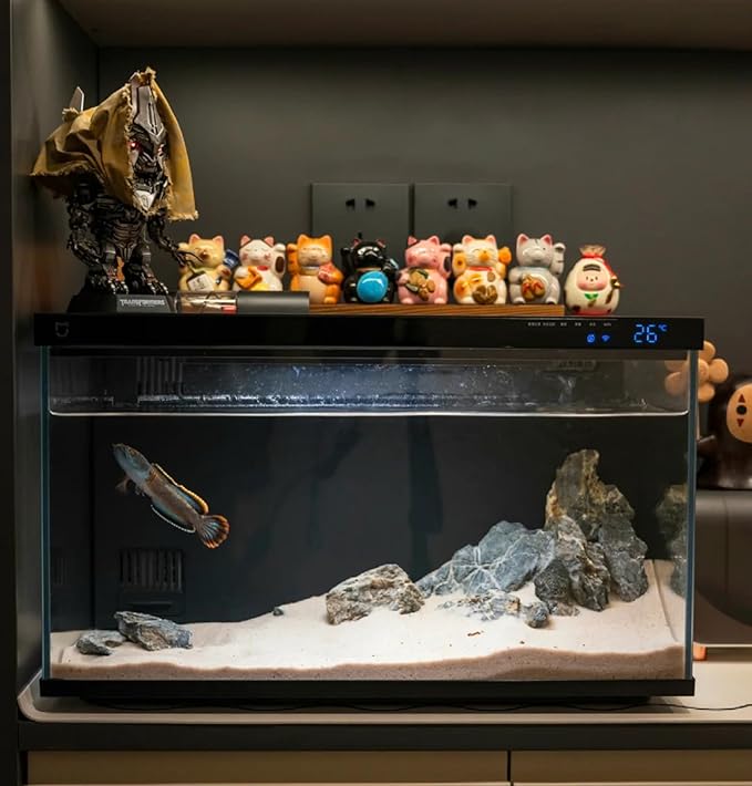 Natural Seiryu Dragon Stone - 11 Pound Aquarium Landscape Rock for Fish Tank Decorative Stones, Reptile and Amphibious Tank 3-8 Inch Aquarium Decoration