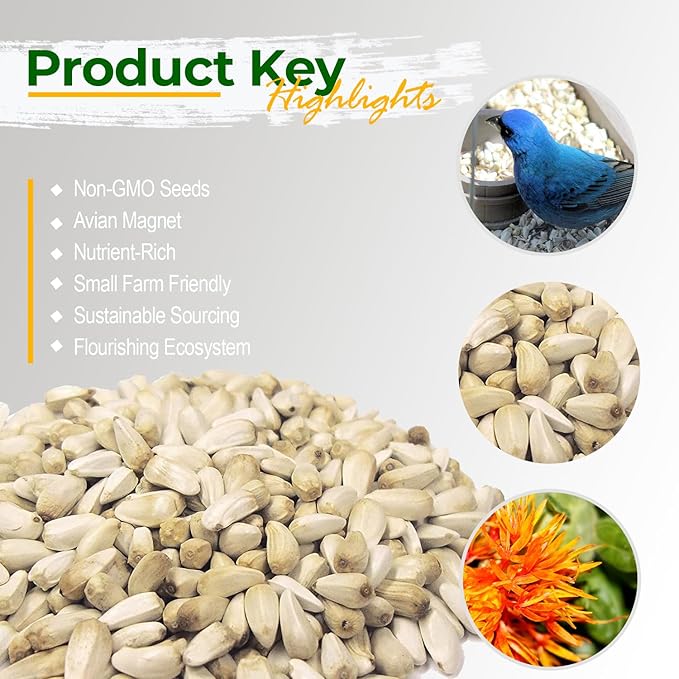Wildlife Safflower Seed for Wildlife Bird Feeding, Non-GMO and USA Small Farm Grown, 6 lbs