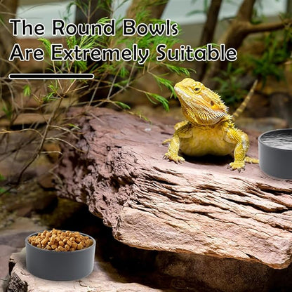 10 Pcs Small Reptile Water Bowl Food Dish Feeding Bowl for Spider Gecko Lizard Horned Frog Turtle Snake (Black)