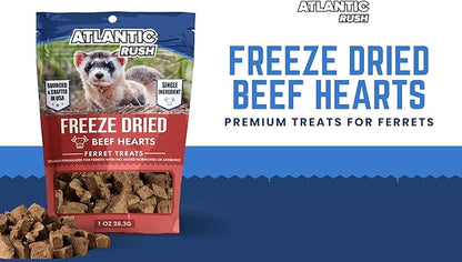 Freeze Dried Small Pet Treats - Resealable Bag of Treats for Ferrets - Ferret Snacks - Single Ingredient Ferret Food With No Preservatives Or Fillers- Small Animals Treats (1oz, Beef Heart)