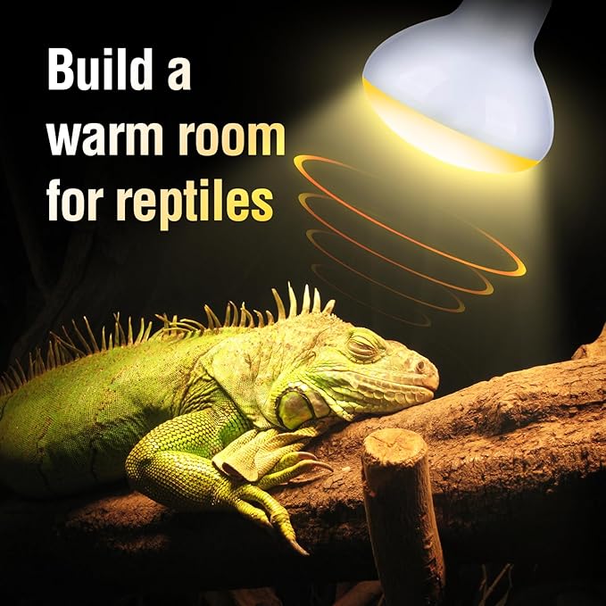 Leoterra 100W Reptile Tank Use Incandescent Night Black Heat Bulbs and 100w UVA Heat Lamp Bulbs Combo Pack E26 Base 110v Heat Lamp Bulbs for Leopard Gecko Bearded Dragon Heat lamp Long Service Life…