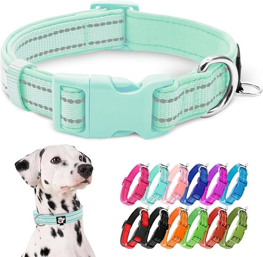 azuza Reflective Dog Collar,Soft Neoprene Padded Pet Collar with ID Tag Ring,Adjustable for Large Dogs,Teal,L