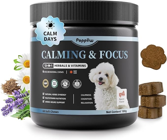 Calming Chews for Dogs – Calming Treats for Anxiety, Stress, Separation, Travel & Thunder, Non-Drowsy Alternative to Melatonin, Calm & Focus with Chamomile & Ashwagandha, Bacon Flavor, 60Ct