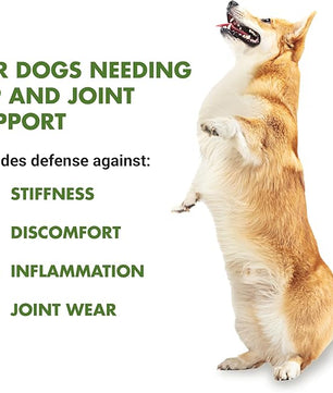 by Cool PET Holistics LVDJW-PR-04PK-16U Hip & Joint Dog Joint Supplement, 16 oz