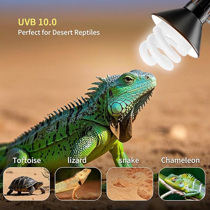 UVB Light Bulb for Reptiles, 9W 5.0 UVA UVB Heat Lamp Bulbs Ideal for Rainforest Reptiles, Bearded Dragons Lizard Turtle Tortoise Iguanas Chameleons Snake (2 Pack)