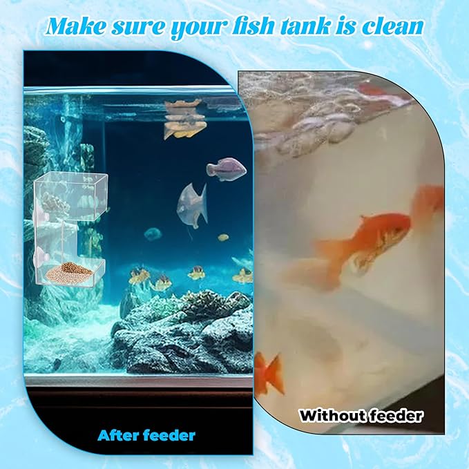 Fish Tank Feeding Tray for Fish Aquarium Feeding Dish Fishes Feeder Fishes Tank Dish with Suction Cup 3.9x2.4 Inch Feeding-Tube Ring Container Holder Dispenser for Shrimp Turtle