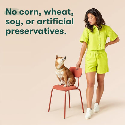 Jinx Premium Wet Dog Food Cans - Beef Pate - Grain-Free Canned Dog Food Pate & Topper with Real Ingredients & No Fillers - All Life Stages, Breeds & Sizes - 12-Pack, 13 Oz