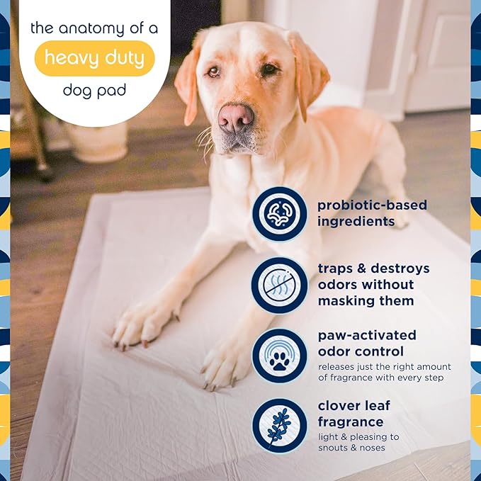 Pet Life Unlimited Heavy Duty Triple Extra Large Puppy Pads – 36" x 36", 50 Count (3XL) | Dog Training Pads with Odor Controlling Wetness-Activated Clover Leaf Scent | USA Made