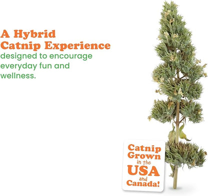 Meowijuana | Dried Catnip Buds Jar | Premium Organic Catnip | Grown in North America | Perfect for Cat Toys | Fresh Catnip for Extended Playtime | Elevate Your Cat's Enjoyment