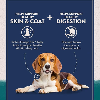 Natural Balance Limited Ingredient Adult Dry Dog Food with Healthy Grains, Chicken & Brown Rice Recipe, 12 Pound (Pack of 1)
