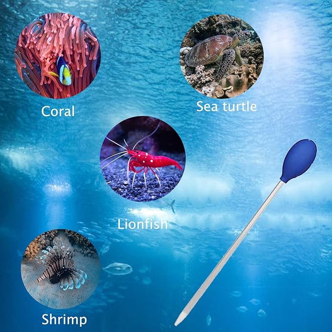 KABASI 4 in 1 Aquarium Coral Feeder Kit, 2PCS Coral SPS HPS Coral Feeder with 2PCS Tweezers, Long Arcylic Marine Reef Aquarium Syringe Liquid Fertilizer HPS Tube for Reef/Anemones/Eels/Lionfish