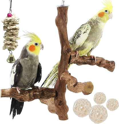 Allazone Bird Perch Natural with Chewing Toys Natural Grapevine Bird Stand Grape Stick Natural Bird Parrot Perch Standfor Parrots, Parakeets Cockatiels, Conures, Macaws, Love Birds (Style 1)