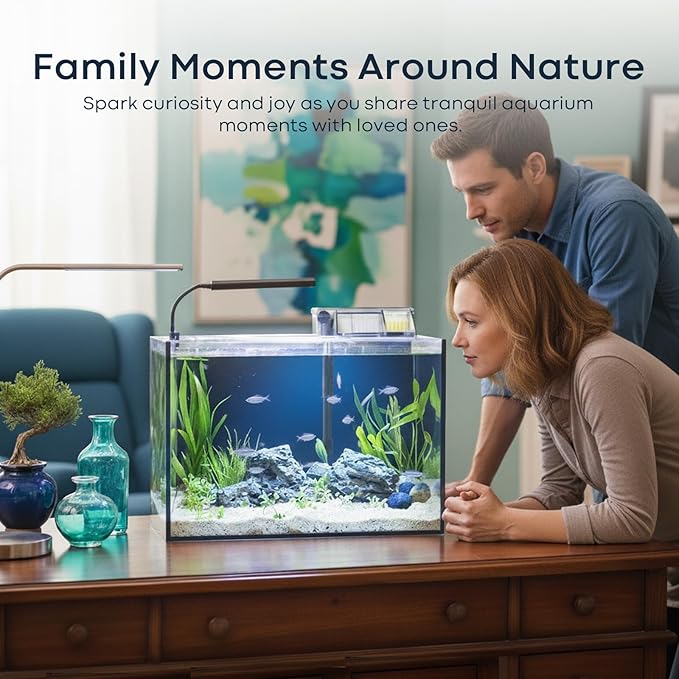10 Gallon Aquarium Set Glass Fish Tank, with Heater Self Cleaning System Filter with Media Bright Light Cleaning Tool, Leak-Proof Clear Rimless Betta Tropical Freshwater Fish