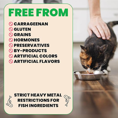 almo nature HQS Natural Wet Cat Food Tuna in Broth Atlantic Style, Grain-Free, 5.29 oz (Pack of 24)