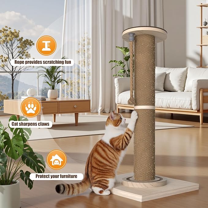 Cat Scratching Post, 32 Inch Tall Scratching Post for Indoor with Hemp Rope and Track Toy Ball Cat Scratcher for Medium and Large Cats