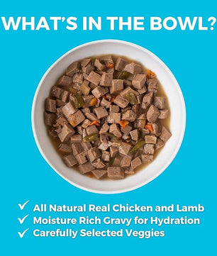 KOHA Greek Island Grill Stew for Dogs with Chicken and Lamb, High Protein Wet Dog Food, 12.7oz Cans (Case of 12)