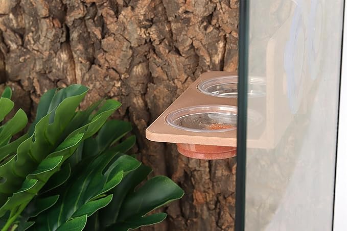 Crested Gecko Feeding Ledge with 10PCS Gecko Food Dish - Wooden