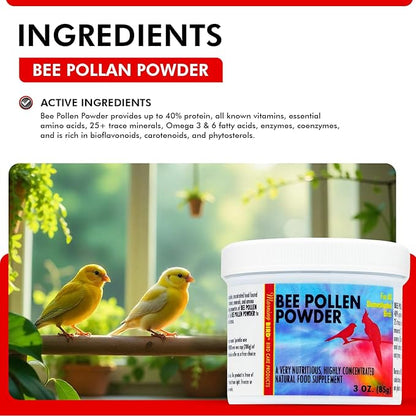 Morning Bird Bee Pollen Powder for Birds 3 Oz – Complete Nutrition with Protein, Amino Acids & Immune Support – Bird Vitamin & Mineral Supplement for Daily Health & Wellness