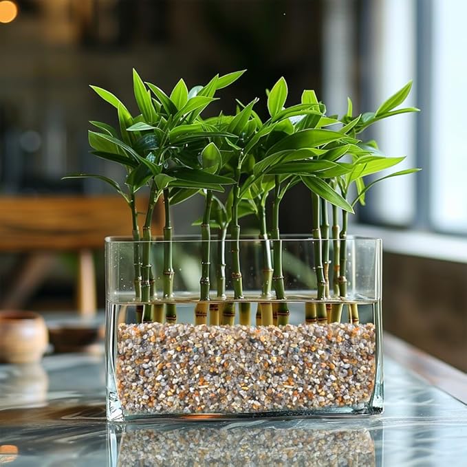 HappyFiller 6 LB Natural Coarse Sand Real Silica Sand Vase Filler,Arts Crafts,Beach Theme,Wedding Ceremony,Home Decoration,Aquarium Tank,Fire Pits,Succulents Plants,Animal Bedding,Zen Garden