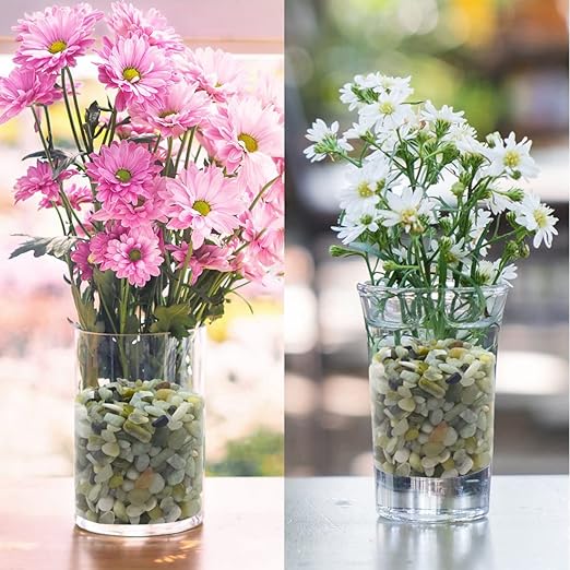 2LB Succulent and Cactus Jade Pebbles, 3/8 Inch Natural Decorative Polished Stones, River Rocks for Indoor Plants, Vases, Planters and Outdoor Gardening