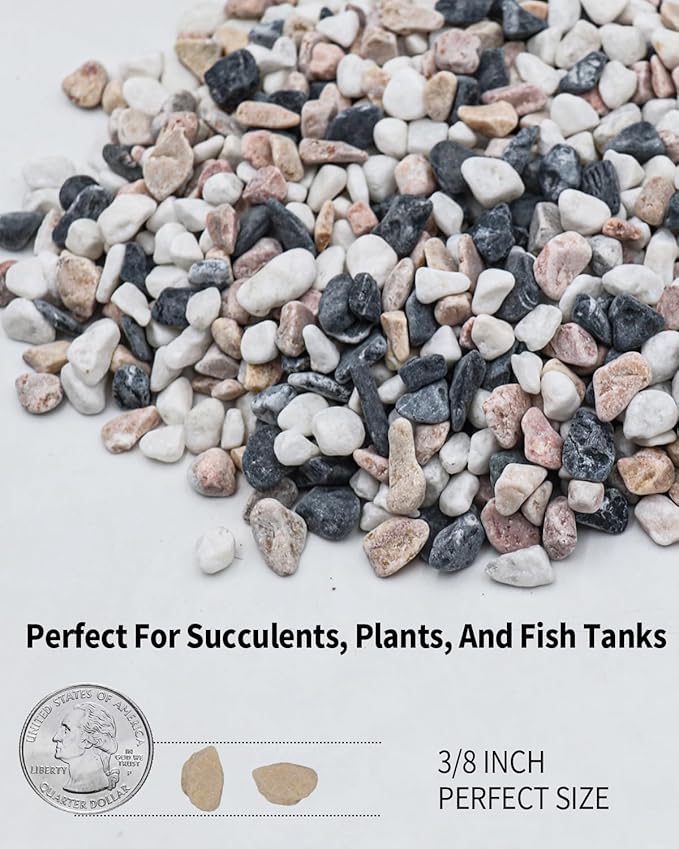 3LB Succulent & Cactus Gravel Pebbles,1/4-3/8 Inch Natural Polished River Rocks Decorative Stones for Succulent Planters,Cactus Pots,Vases,Aquariums,Outdoor Gardening Mixed Colors