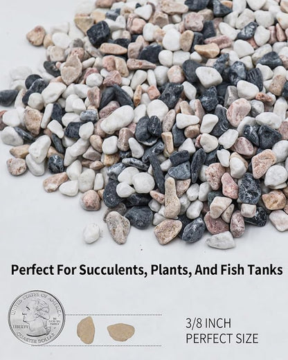 6LB Succulent & Cactus Gravel Pebbles,1/4-3/8 Inch Natural Polished River Rocks Decorative Stones for Succulent Planters,Cactus Pots,Vases,Aquariums,Outdoor Gardening Mixed Colors