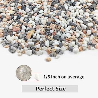 10LB Succulent and Cactus Gravel Pebbles, 1/5 Inch Natural Decorative Polished Stones, River Rocks for Plants, Vases, Aquariums, Terrarium and Outdoor Gardening,Mixed Color