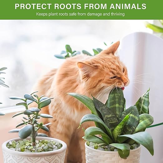 NUPICK 3 lbs Pebbles for Indoor Plants, 3/8 Inch Pea Gravel for Fish Tank, Polished Decorative Rocks for Succulent, Natural River Stones for Vases, Cactus, Landscaping, Bird Bath, Aquarium, Jade