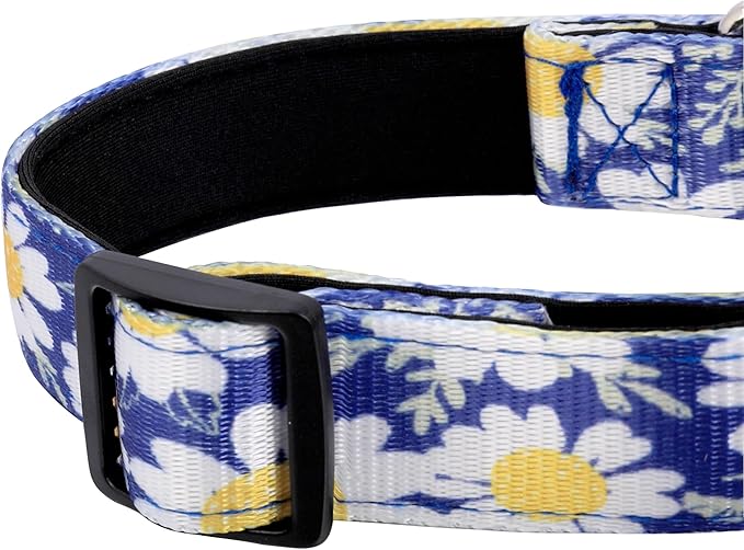 Reflective Dog Collar, Adjustable Soft Neoprene Padded Nylon Pet Collars with Buckle for Puppy and Small Dogs, Cats, Small Daisies Blue,S