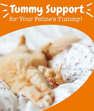 Zesty Paws Powder Probiotics for Cats - Meal Topper for Digestive, Immune System Support for Feline Biome - Premium DE111 Cat Probiotics for Digestive Health - Fiber & Yeast Extract - Pumpkin - 30 Ct