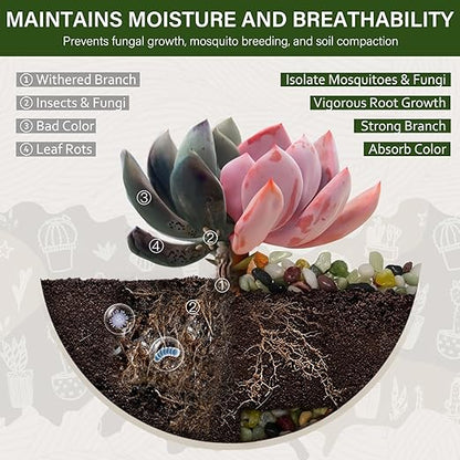 NUPICK 3 lbs Pebbles for Indoor Plants, 3/8 Inch Pea Gravel for Fish Tank, Polished Decorative Rocks for Succulent, Natural River Stones for Vases, Cactus, Landscaping, Bird Bath, Aquarium, Colorful