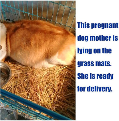 Grass Mat Woven Bed Mat for Small Animal Bunny Bedding Nest Chew Toy Bed Play Toy for Guinea Pig Parrot Rabbit Hamster Rat(Pack of 3)