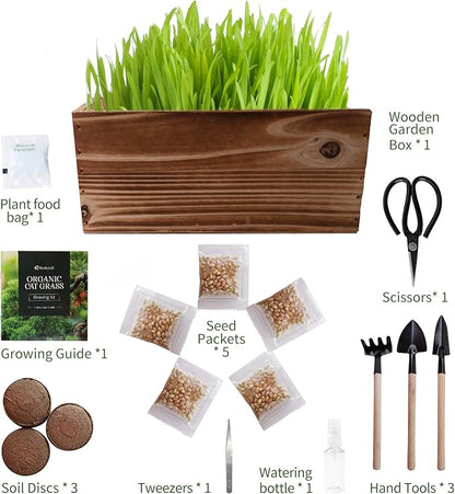 5-Pack Cat Grass Kit for Indoor Cats with Wood Planter, Grow Organic Non-GMO Wheat Grass in 4-7 Days, Aids Digestion & Hairball Control, Ideal Birthday Gift for Cat Lovers