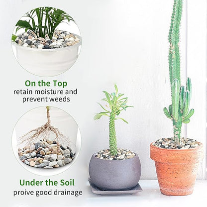 10 lbs Pebbles for Landscaping, 3/8 Inch Pea Gravel Decorative River Rocks for Succulent, Cactus, Vases, Terrarium, Aquarium, Potted Top Dressing and Outdoor Garden