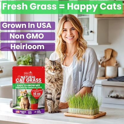 NatureZ Edge Premium Cat Grass Seeds for Indoor Cats, Non GMO - 1 lb Oat, Wheat, Barley & Rye Grass for Indoor Cats, Cat Plant, Kitty Lawn, Pet Grass, Hierba para Gatos, Made in USA