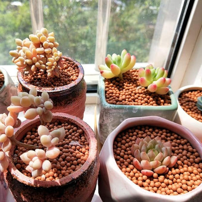 Clay Pebbles Gardening Ceramsite Orchid Hydroponic Grow Media Clay Rocks Drainage Water Purification Ceramsite Decor Cultivation Soil Stone Horticultural Grade for Soil Hydroponics Aquaponics 2.2lb